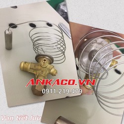 Nơi uy tín cung cấp van tiết lưu TE2 tại Quận 6