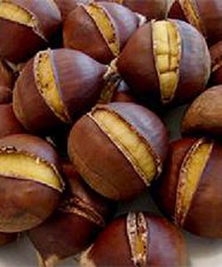 Mua hạt dẻ ngon ở Hà nội