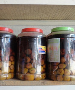 Đặc sản táo mèo yên bái