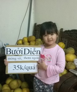 Chuyên bán buôn, bán lẻ bưởi Diễn phục vụ tết 2015, gốc bưởi trên 15 năm, hàng đảm bảo ngon, chất lượng, 35k/quả