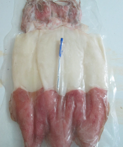 Cùn cấp quà tết, quà biếu sếp Mực 1 nắng Phan thiết chính hiệu