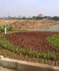 Bán gấp 50 m2 đất dịch vụ cụm công nghiệp Lai Xá, Kim Chung giá 18 triệu/m2