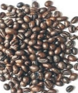 Cung cấp cà phê nguyên chất giá sỉ 75k/kg