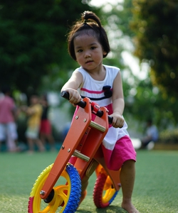 Xe thăng bằng Babigo