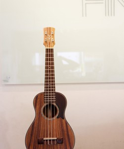 Ukulele Concert UC 2000