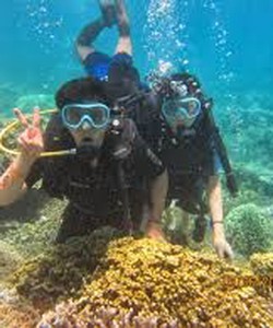 Tour 4 đảo nha trang