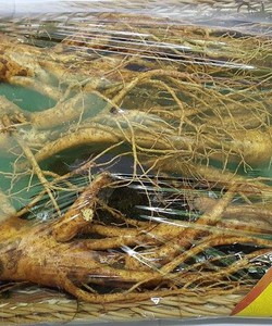 Nhân Sâm Tươi Hàn Quốc 4 Củ/Kg