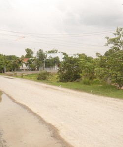 Bán Đất Thổ Cư Mỹ Hạnh Bắc 12x40m 55tr/m