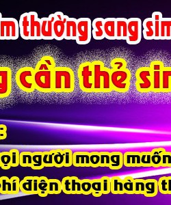 Dịch Vụ Chuyển Đổi Sim Sinh Viên,Đoàn Viên Hot