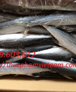 Bán buôn cá thu tươi tại Hà Nội