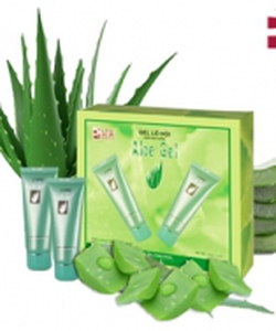 Gel Lô Hội đặc trị các bệnh ngoài da