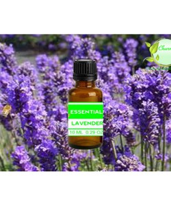 Tinh Dầu hoa Oải Hương nguyên chất