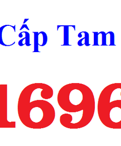 Siêu Phẩm Tam Hoa,lộc phát 0981696999,0981898999,0981986886,0966338686,0981680000,0961860000,0981660000 0981.26.46.66