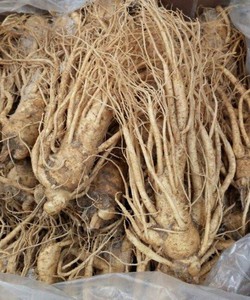 Sâm tươi Hàn Quốc Tara Shop 55b hai bà trưng