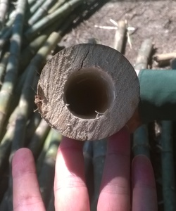 Bán cọc tre giao tại các công trình toàn quốc