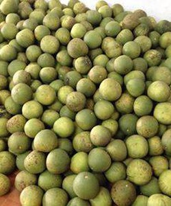 Bán bưởi Đoan Hùng chính hãng