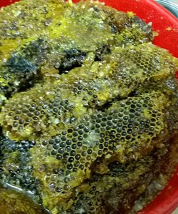 Mật ong nguyên chất 100% tại Đà Nẵng