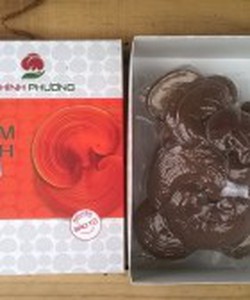 Nấm Linh Chi Việt Nam