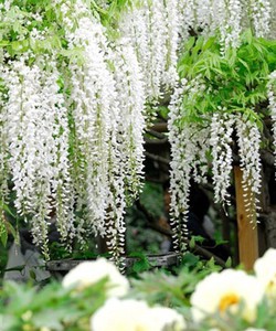 Thỏa sức khám phá Malaysia chỉ từ 25 USD