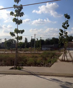 Sở Hữu Ngay Lô Đất Sổ Đỏ Thổ Cư Ngay Phường Tân Đông Hiệp, Dĩ An, Bình Dương