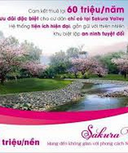 Dự án Đất nền The ViVa City chỉ 268tr với 110m2