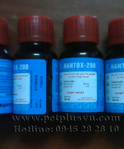 Thuốc diệt bọ chét trong nhà