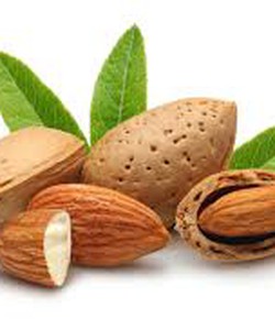 Hạt hạnh nhân Mỹ