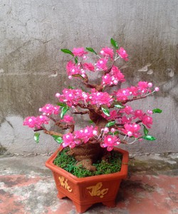 Đào bonsai pha lê