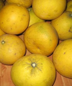 Bán buôn, bán lẻ bưởi diễn