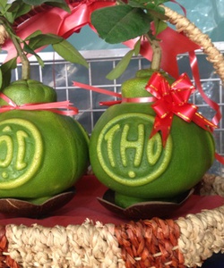 Bán bưởi hồ lô tài lộc