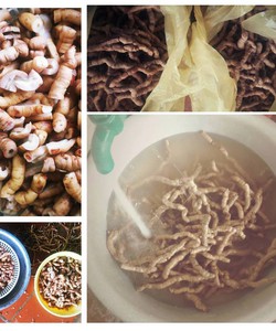 Ba kích tím chuẩn rừng 100%