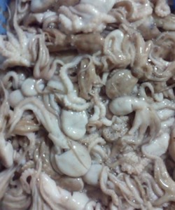 Bán buôn bạch tuộc tươi ngon nhất hà nội