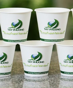 Ly giấy ccao cấp