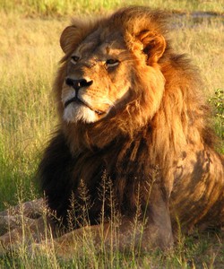 Lich khởi hành tour tết 2016 hoabinhtourist