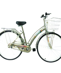 Xe đạp thông dụng Inox 27 inch 51