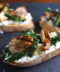 Nấm bào ngư xám Nhật hữu cơ