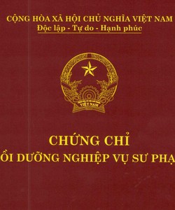 Đào tạo cấp nhanh chứng chỉ Nghiệp vụ sư phạm Giáo viên TCCN