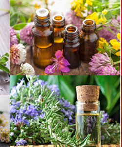 Công Ty Cổ Phần Hoàng Ngọc Thảo