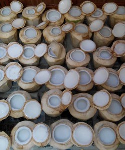 Chuyên sỉ/lẻ thạch dừa tại Hà Nội