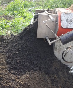 Phân bò, phân heo đã qua xử lý