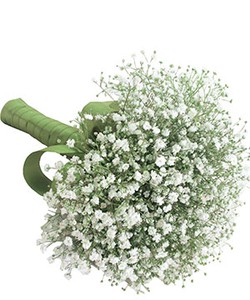 Hoa tươi cho các dịp lễ