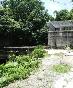 Bán Đất mặt đường phường yên phúc hà đông hà nội , 50m2 ,