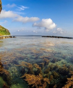 Tour Lý Sơn khám phá biển đảo quê hương GIÁ CỰC SỐC