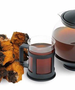 Nấm chaga 100% từ Nga