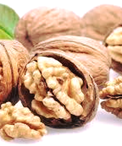 Chuyên cung cấp sỉ và lẻ hạt óc chó và các loại hạt dinh dưỡng