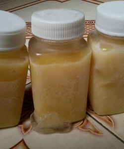 Sữa ong chúa tươi nguyên chất