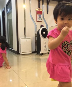 Áo thun bé gái Jumping Beans