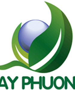 Ly Giấy Cốc giấy