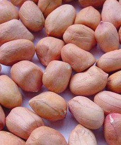 Dầu phộng nghệ an nguyên chất