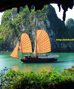 Tour hạ long 1 ngày